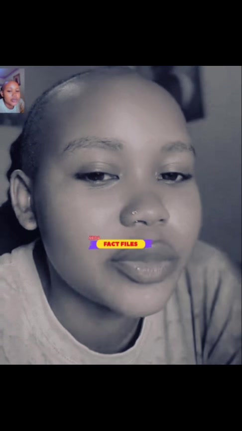 @FactFilesMedia