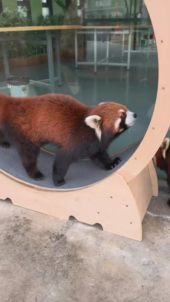 @littlepanda6487