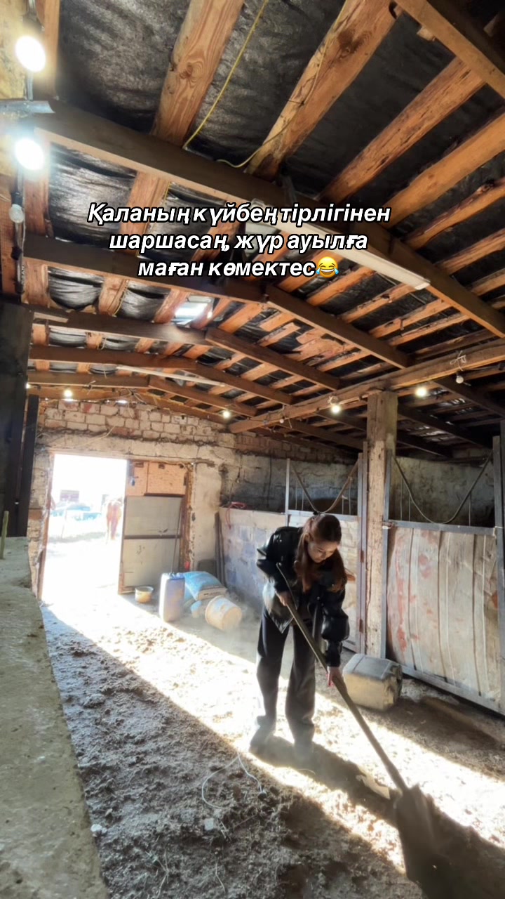 @Zhibek