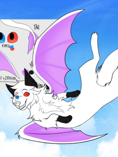 @xDirewolfy