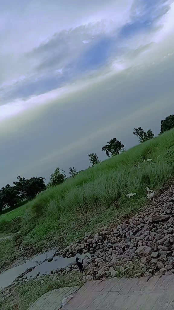 @premray