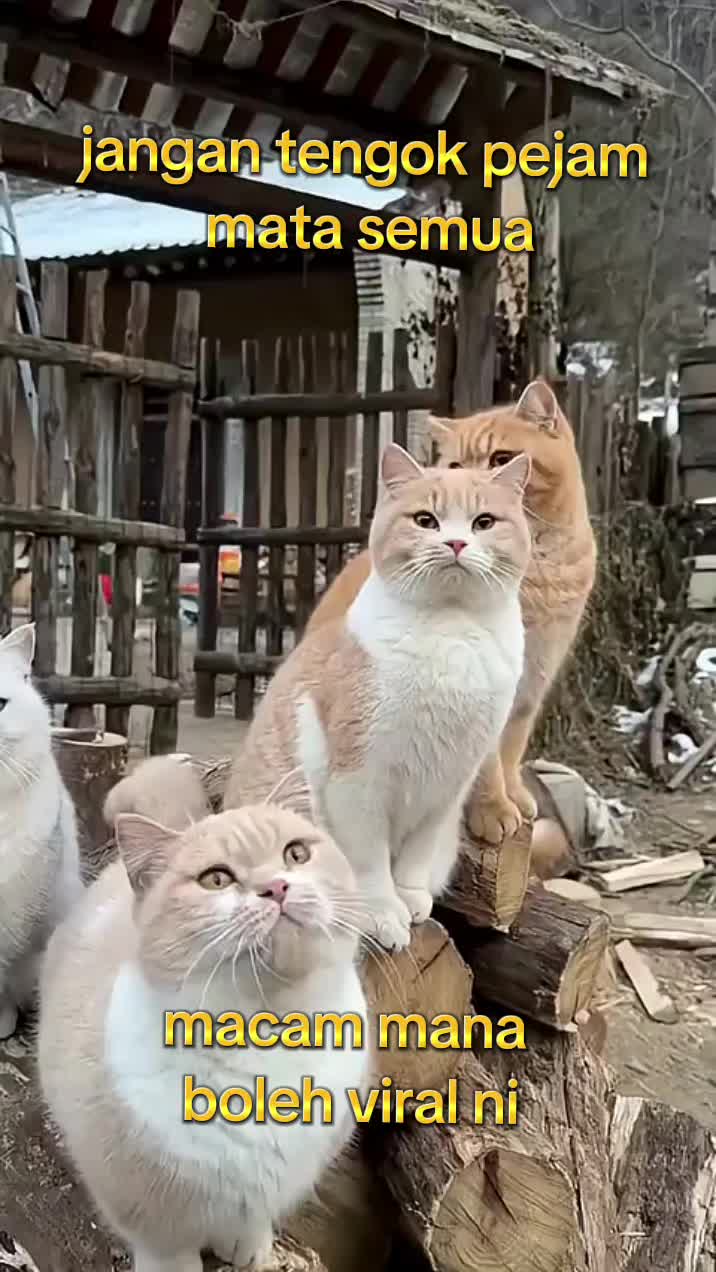 @izuanzainal