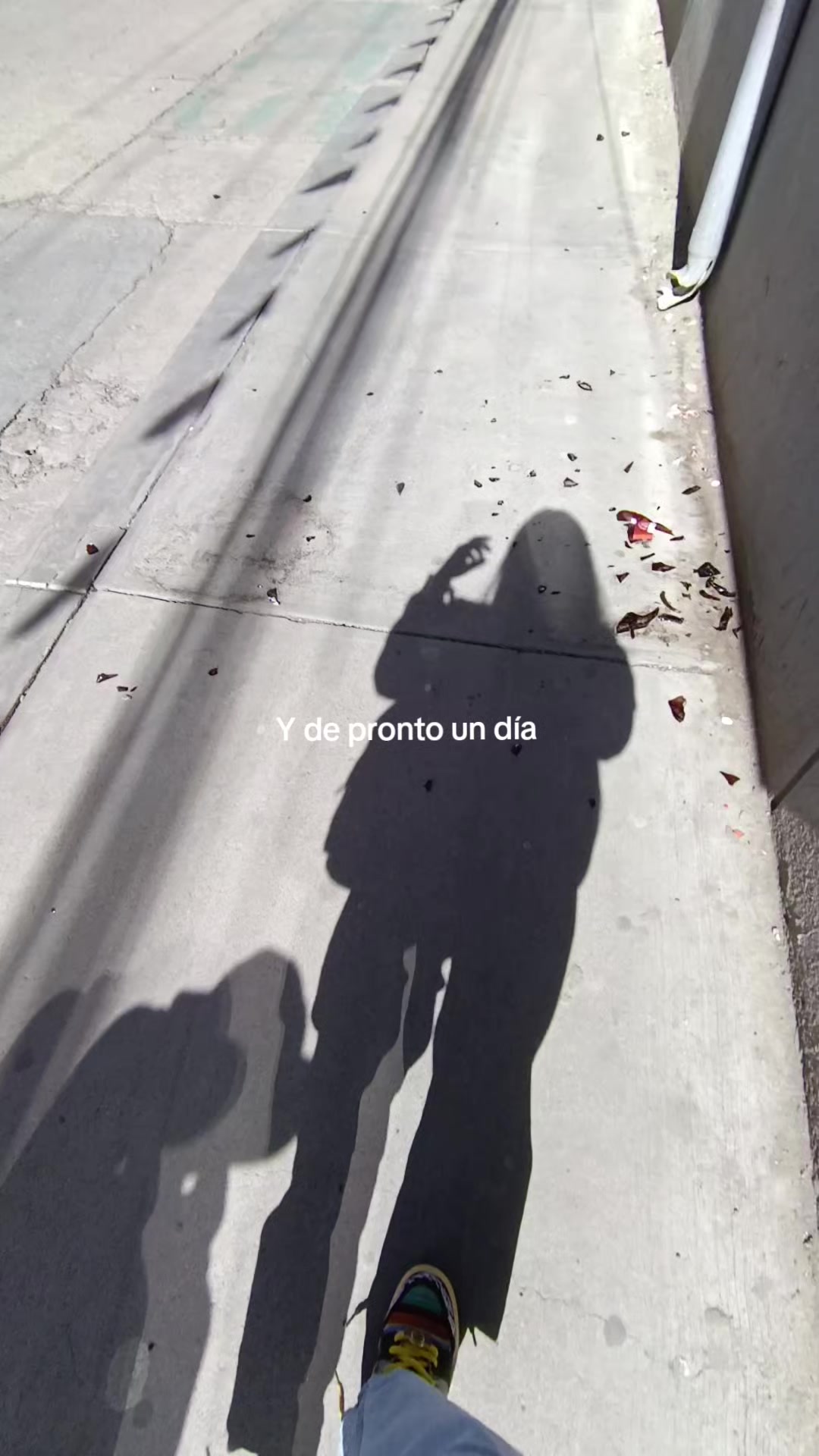 @⋆.˚𝐶𝑎𝑚𝑖𝑙𝑖𝑡𝑎⋆.˚🎀