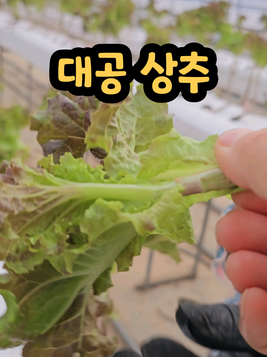 @나미제이