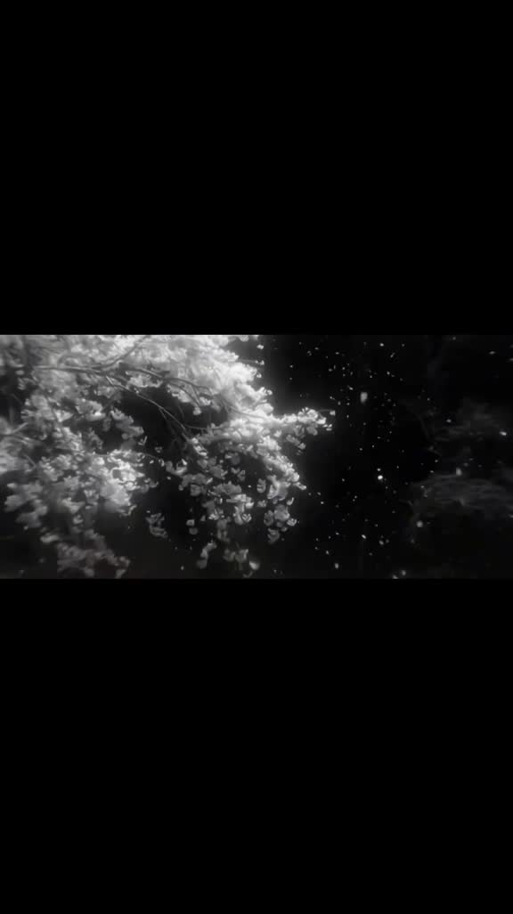 @𝑹𝑰𝑷4𝑳🕷️