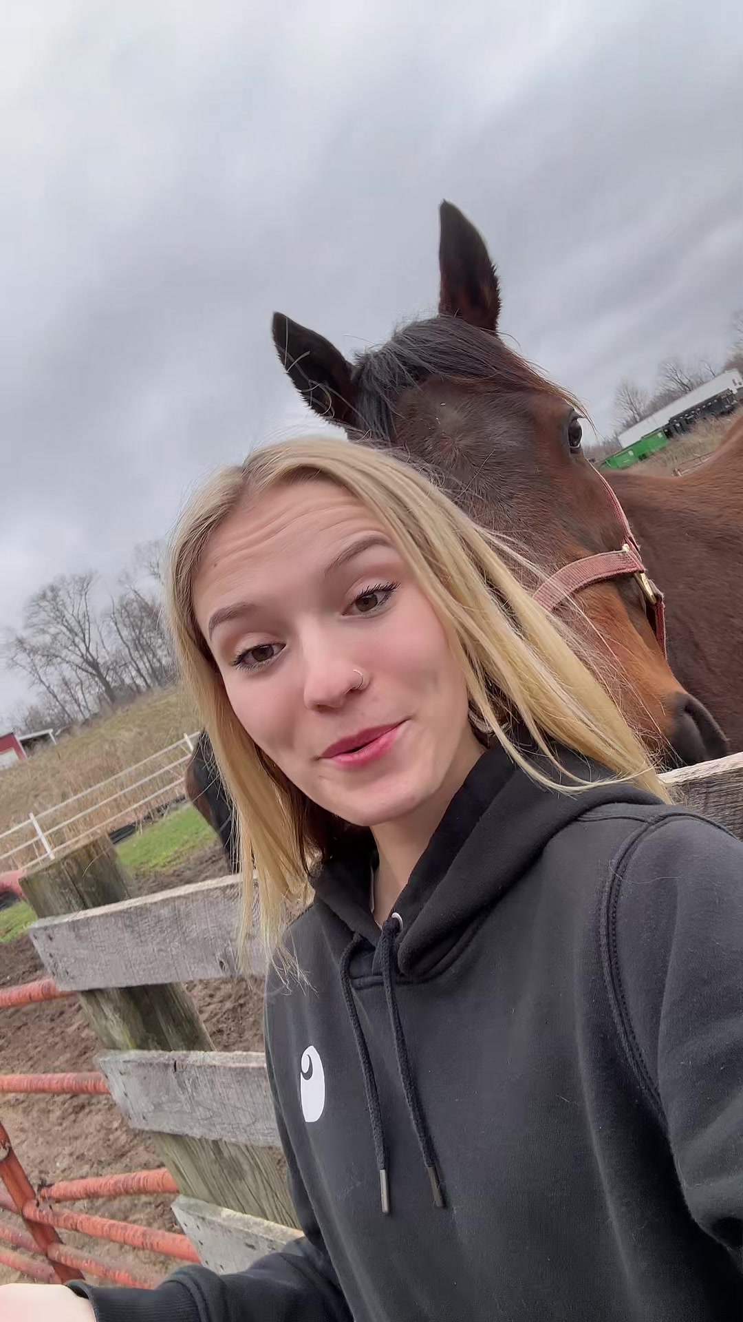 @Arrienne🤠