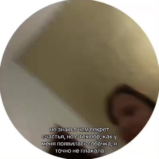 @anxvielle