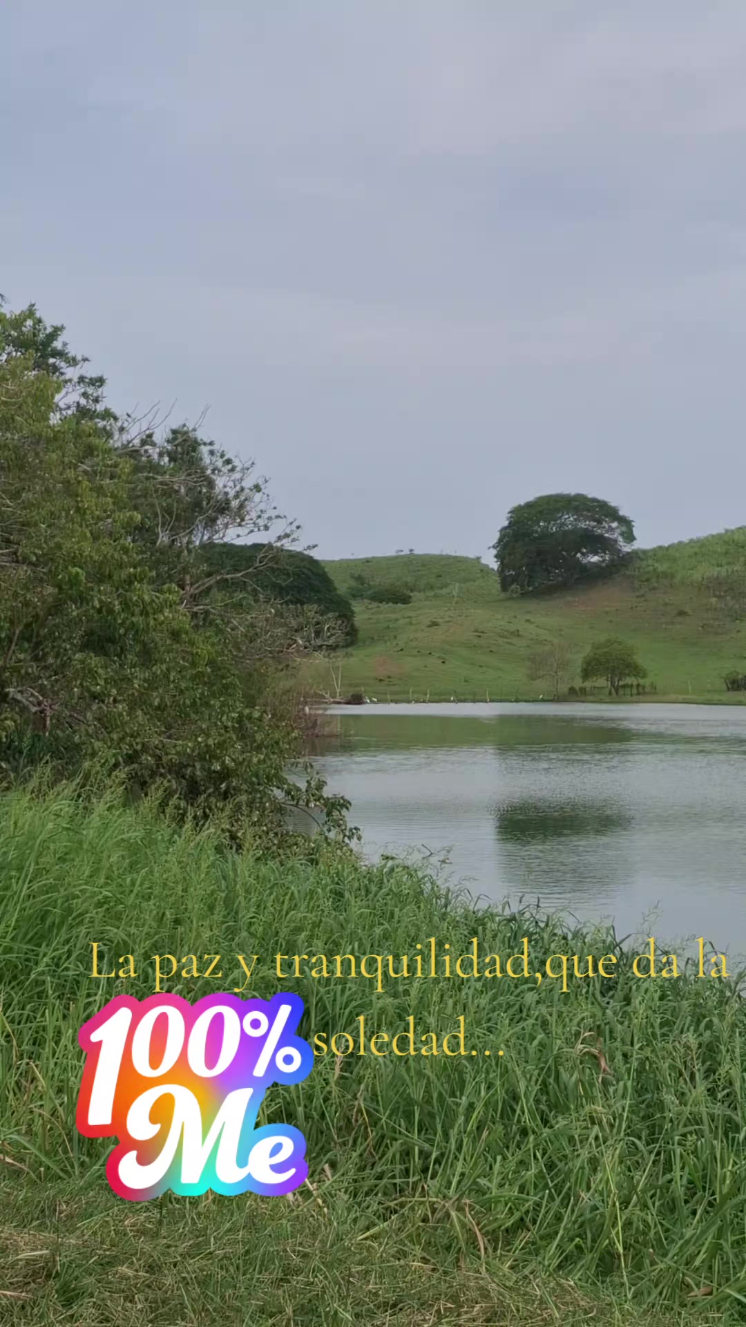 @manuel Gonzalez