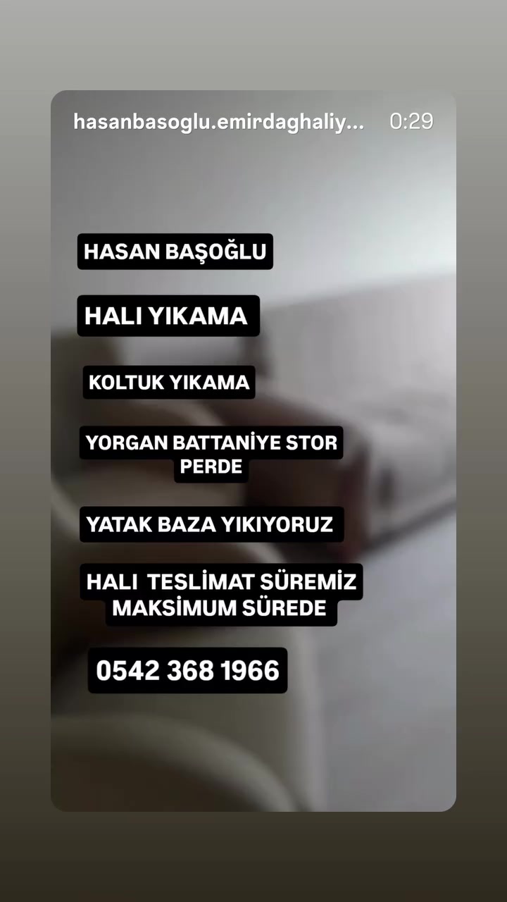 @BAŞOĞLU HALI KOLTUK YIKAMA