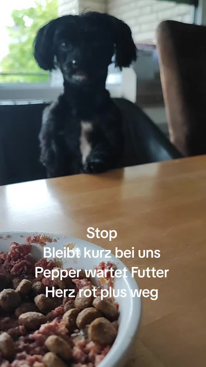 @P&ouml;ppi