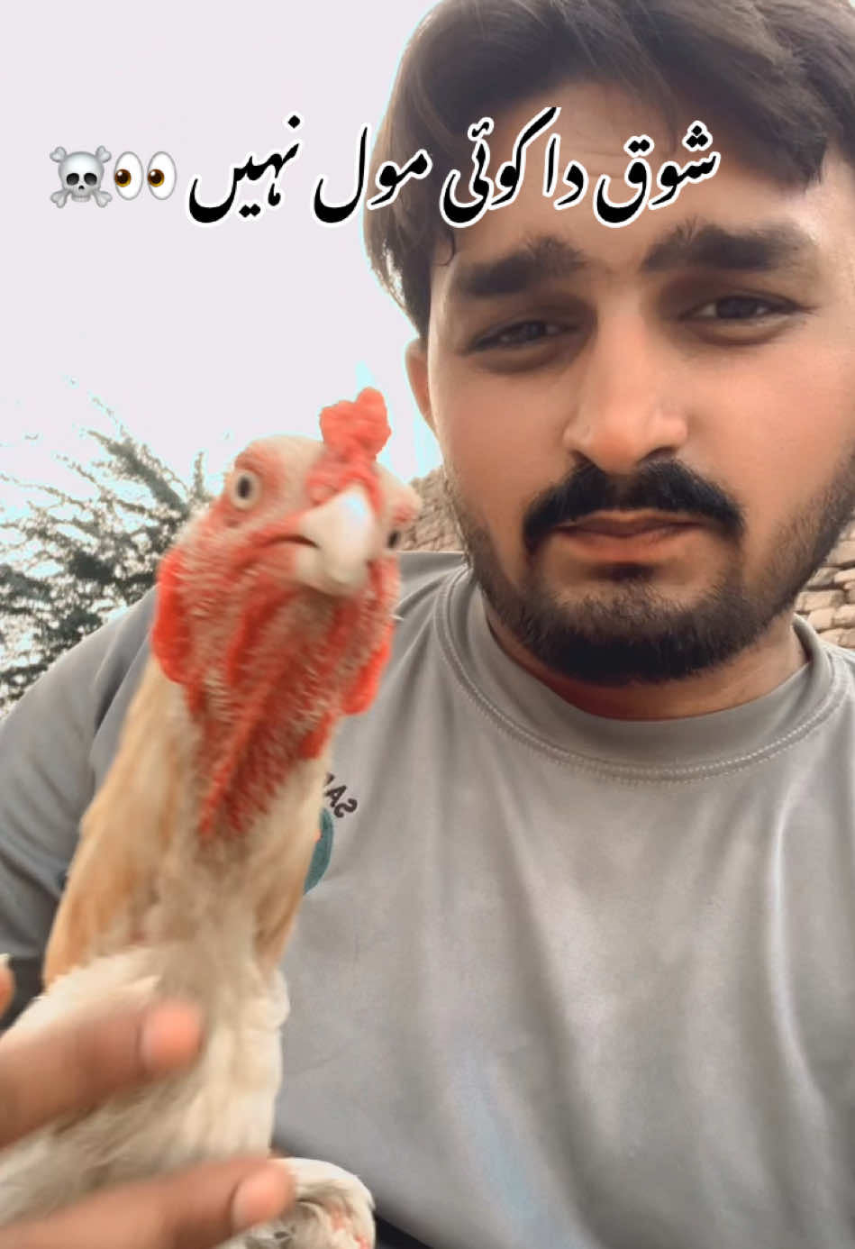 @Amir Shahzad Gasoora Saab