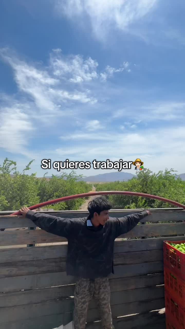 @tj_angel_mr🐣🐣