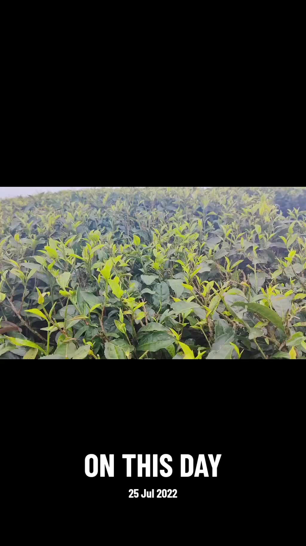 @Er. Krishna Bhakta Duwal