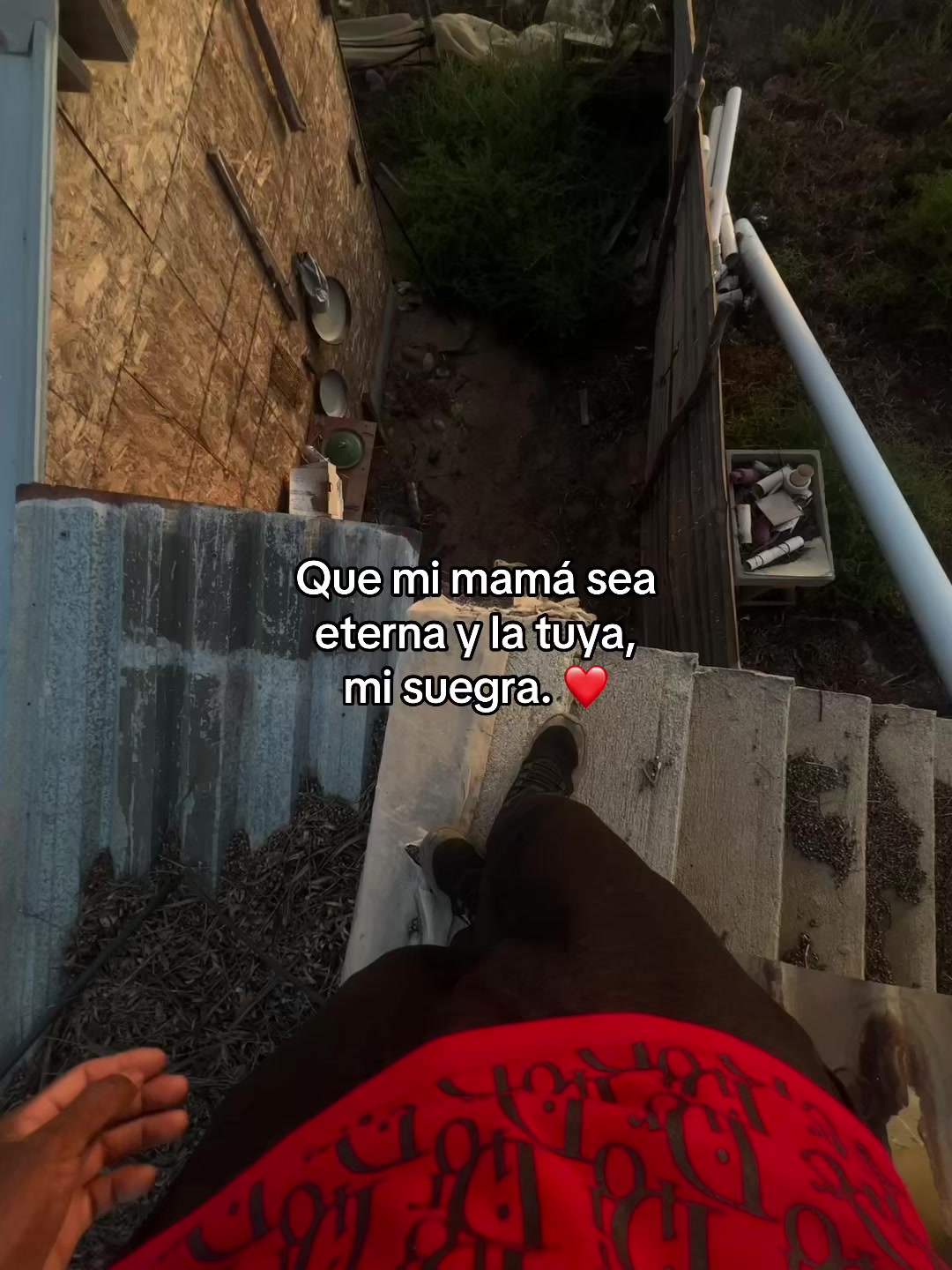 @jesusjp16