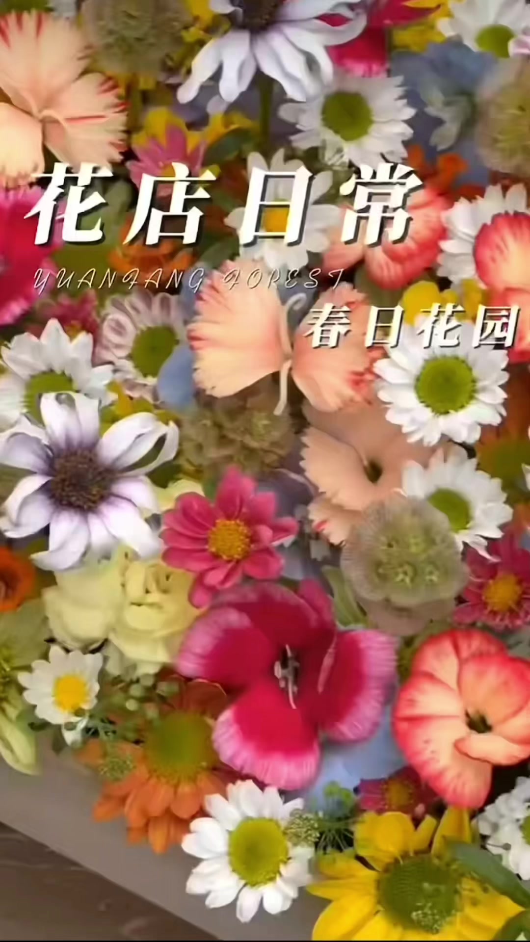 @Bth…! 𐤀