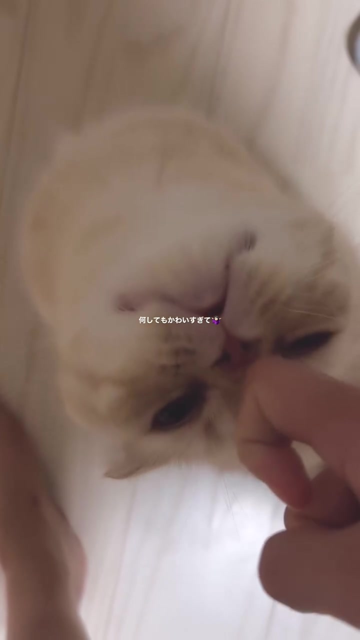 @ワタシの可愛い天使達💘