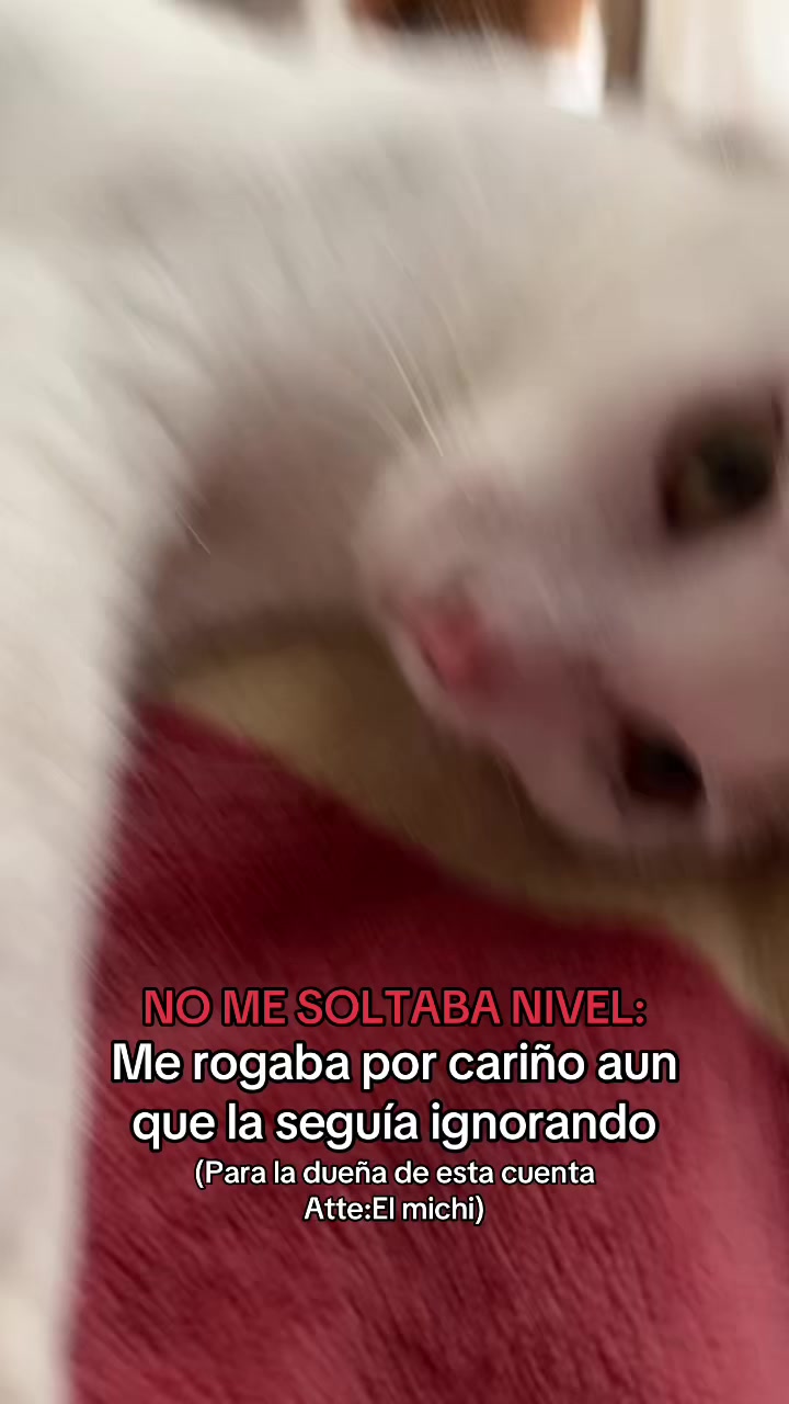 @Keila García🧋