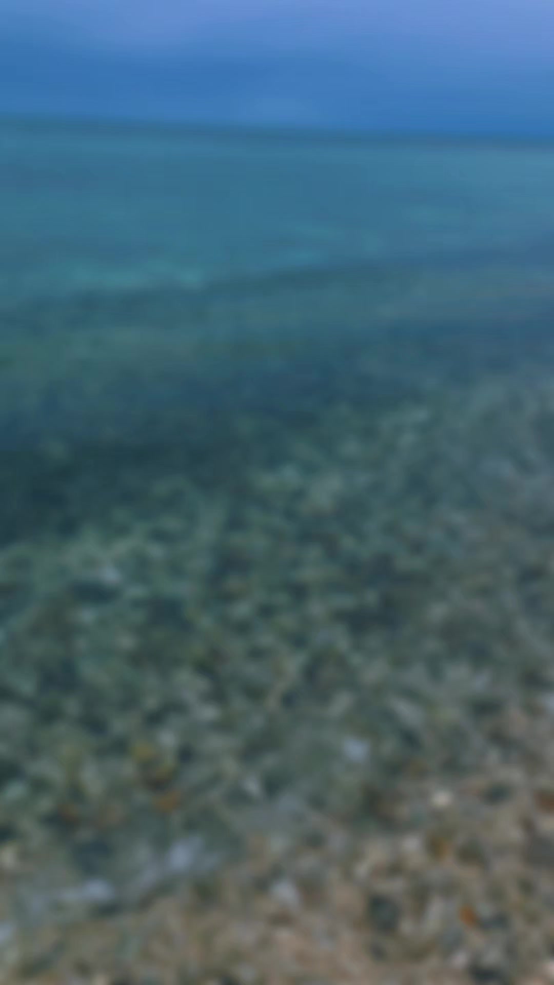 @Đonalēē..IslandŁife 🏝
