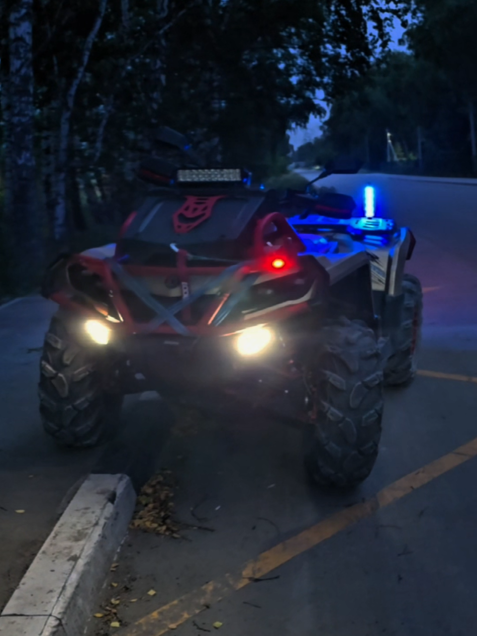 @🚧ТГК: Mud_Squad_54🚧
