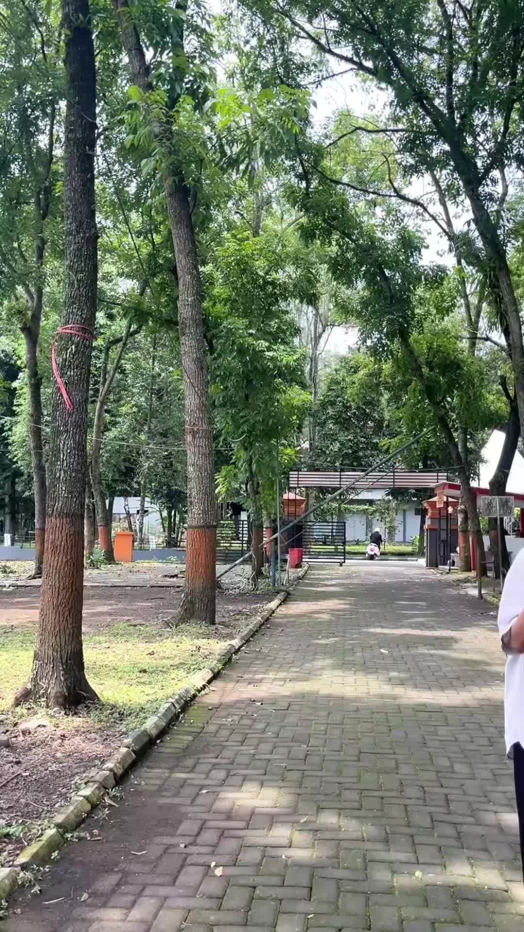 @himasosunej
