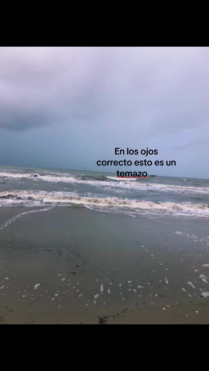 @🦥 Treminio 🦧
