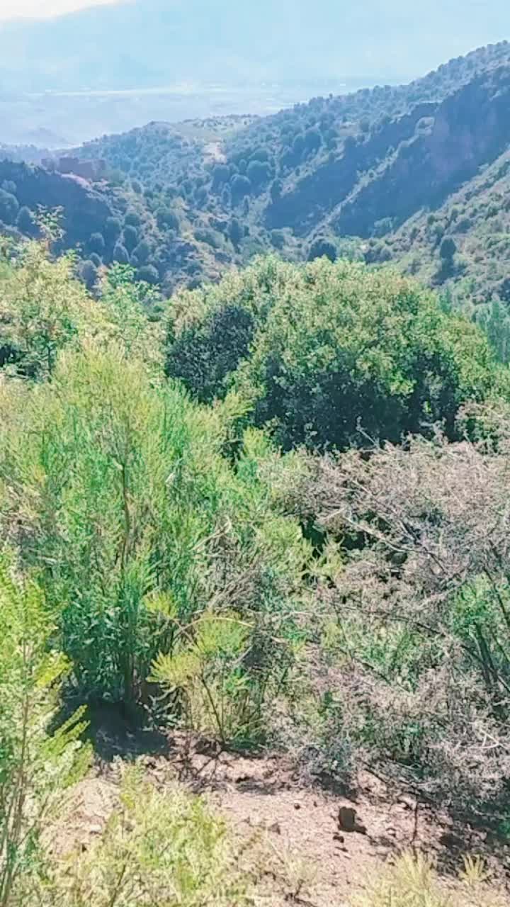 @🌹🌹وزیرستان گلونہ🌹🌹