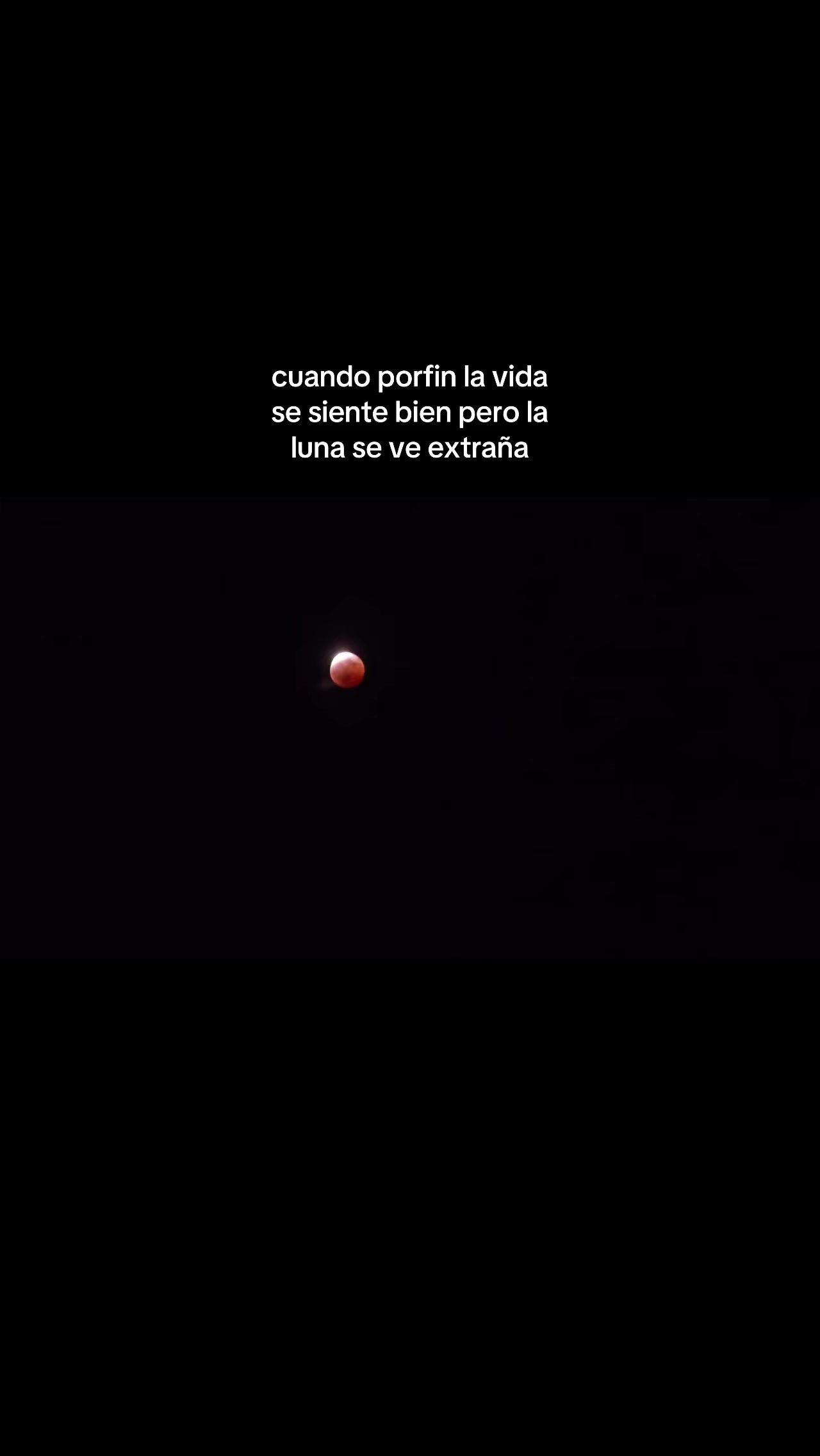 @🍂Melis_🥷🖤):