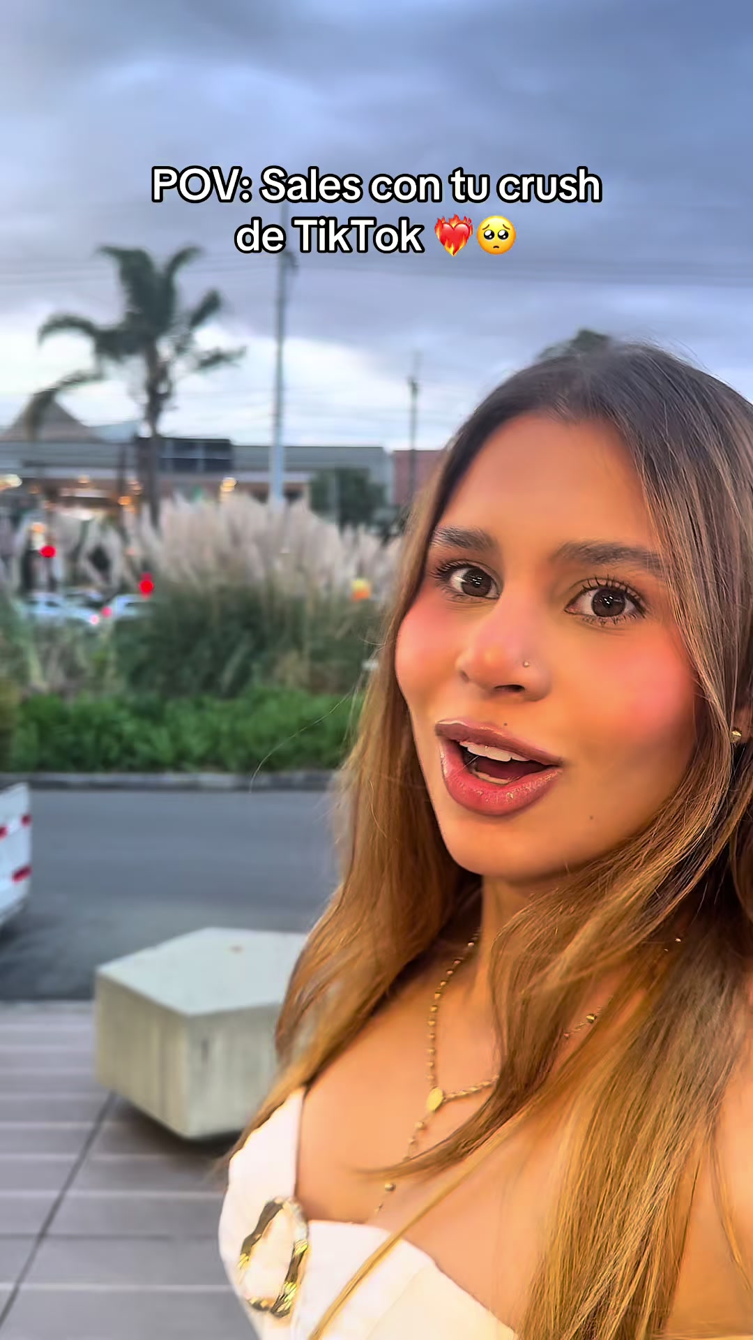 @Valentina Z Rodríguez