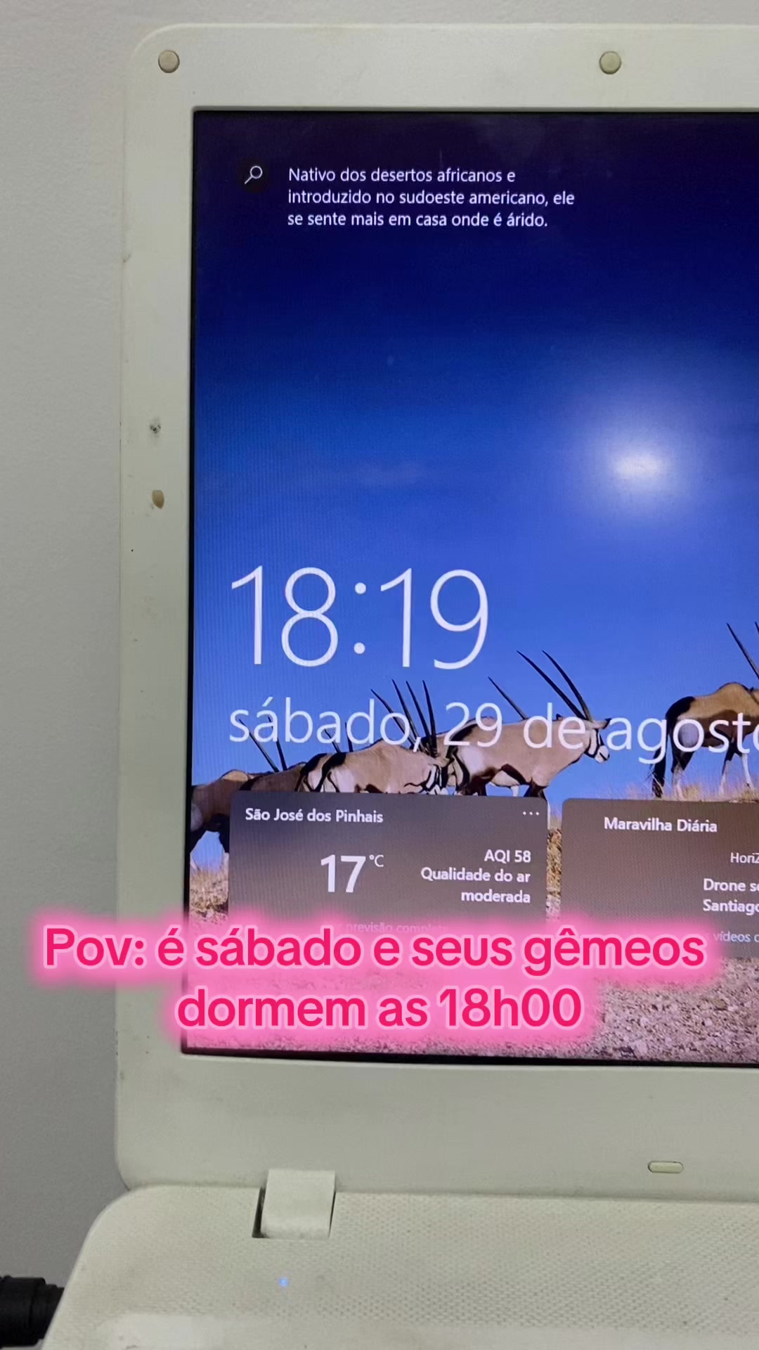 @hingredy | mamãe de 3