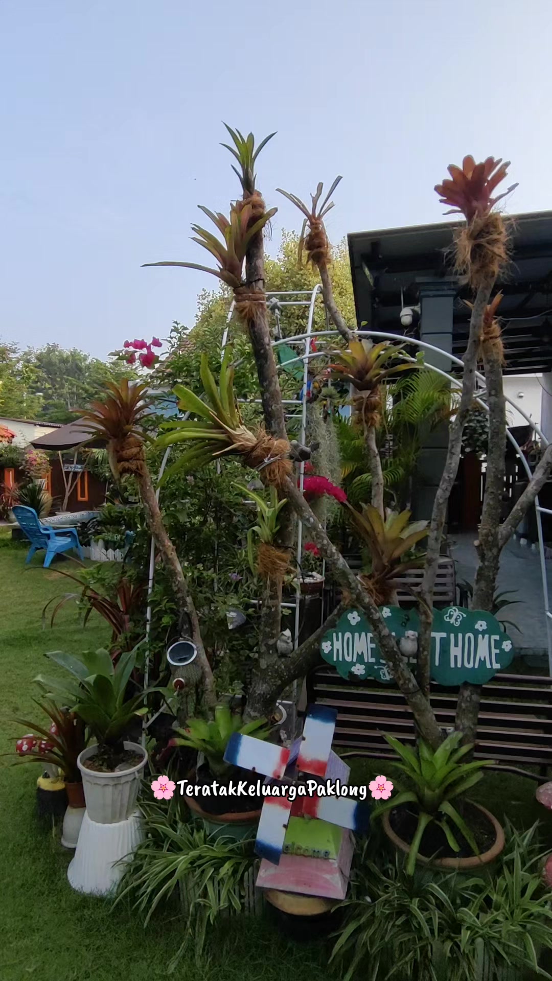 @Teratak Keluarga Paklong