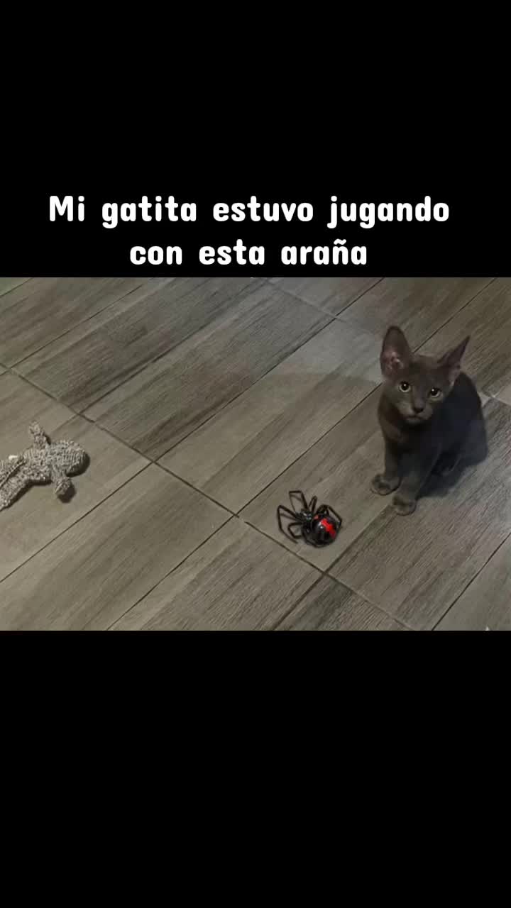 @Guillermo Villagomez