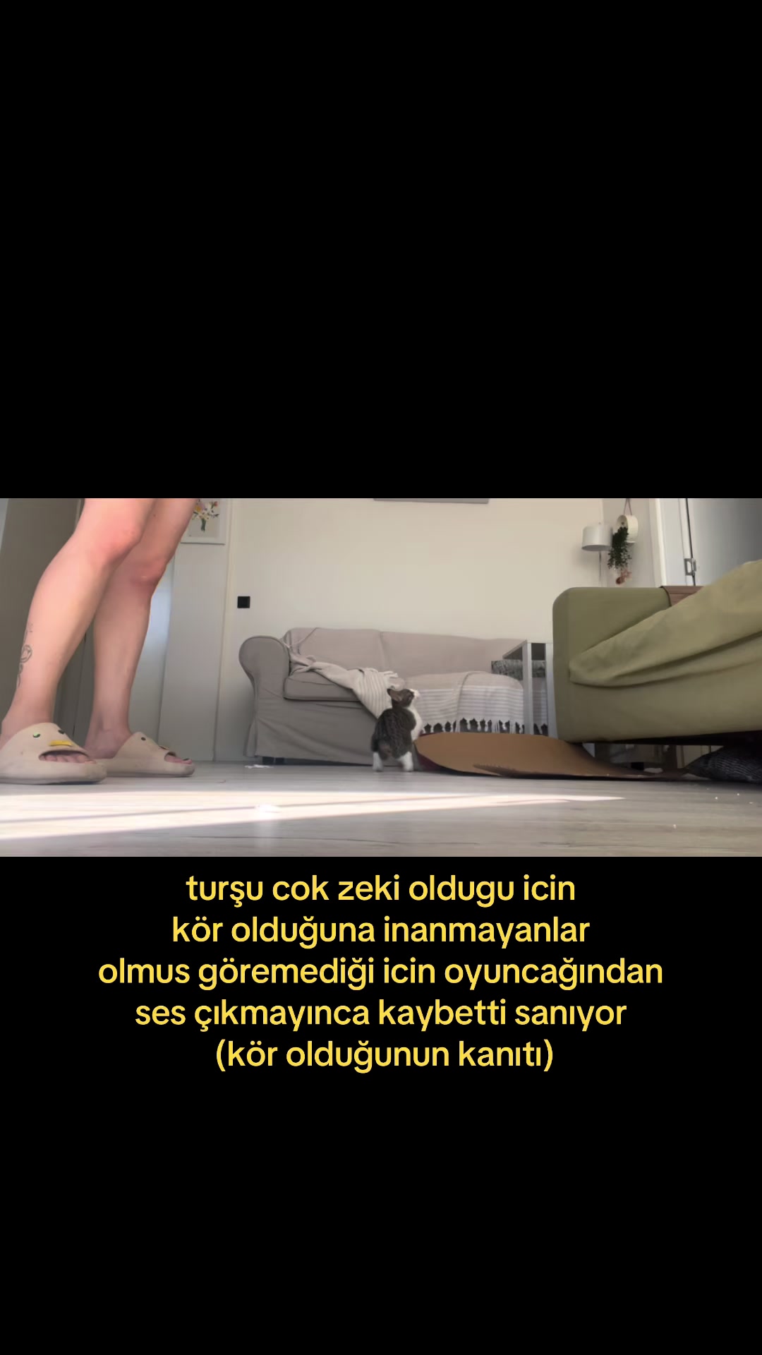 @dt.beyza