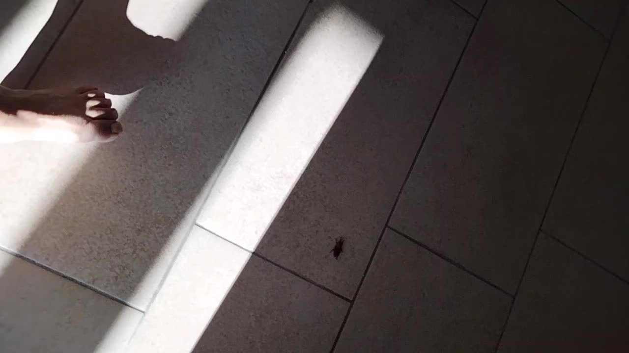 @🌺𝕷𝖆 𝖌𝖆𝖙𝖙𝖎𝖓𝖆🦋