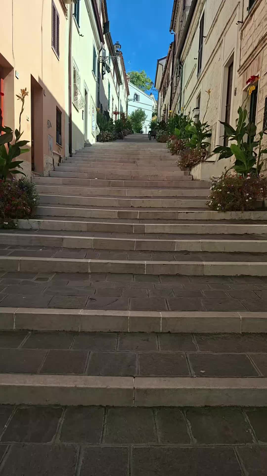 @Hedia🇹🇳💝🇮🇹