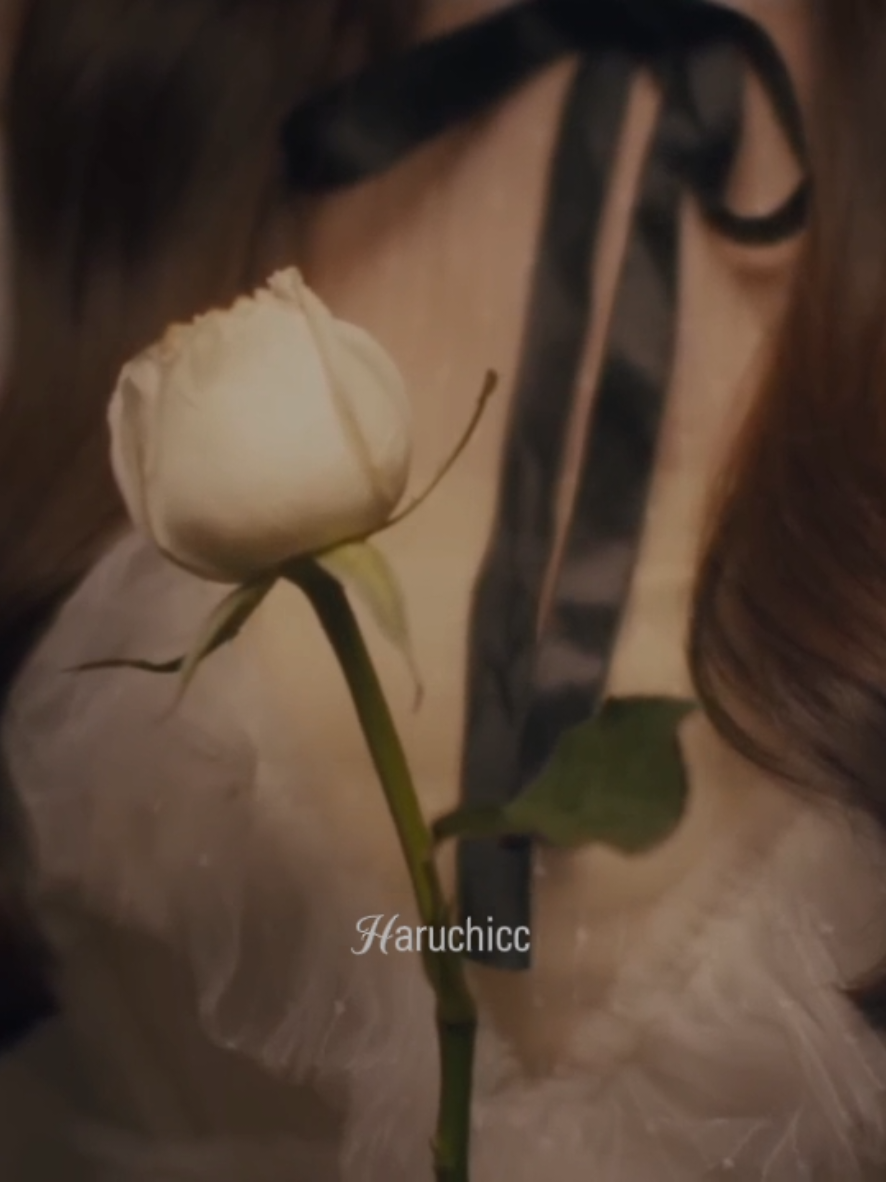 @ゃ 𝙝𝘢𝘢𝘢𝘳𝘶 ⁴⁸
