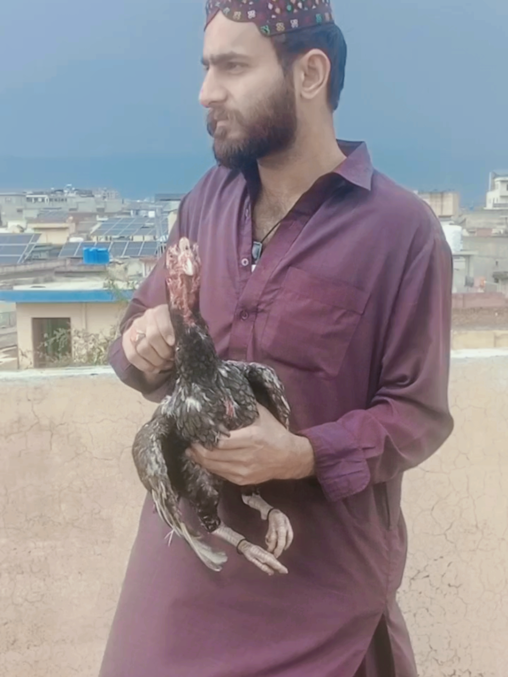 @🦅RANA_3.2.4🦅