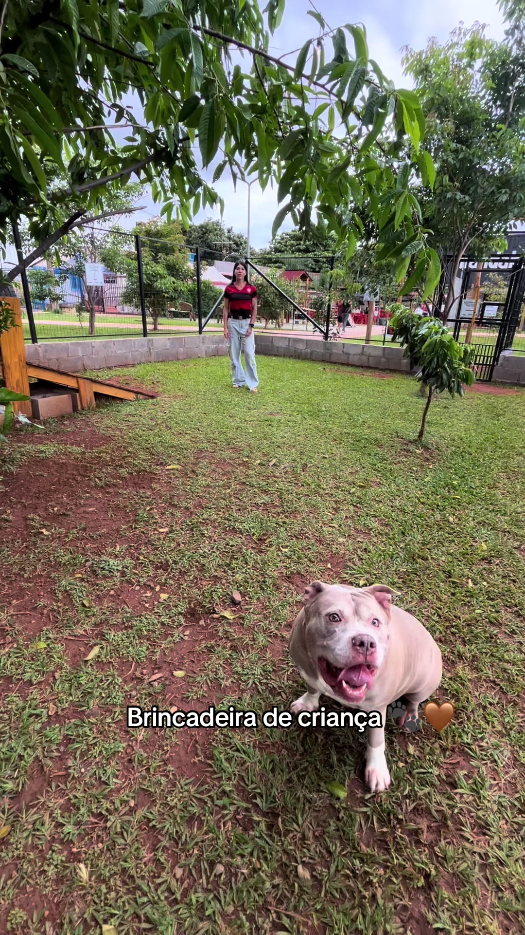 @Babi