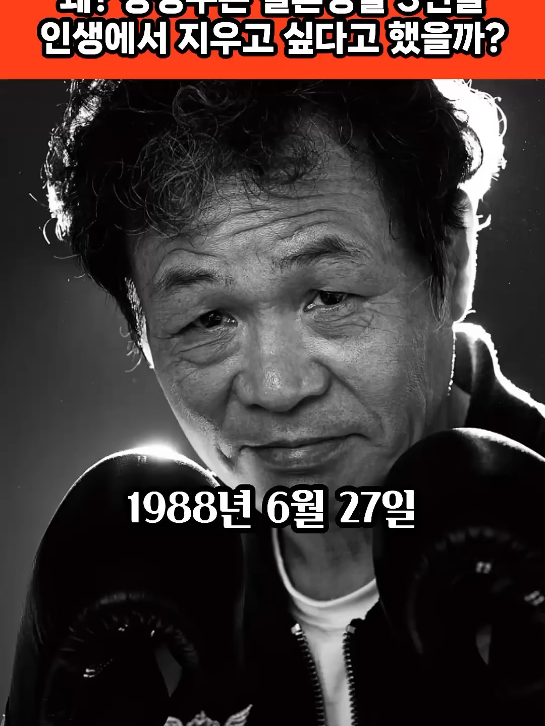 @케이짤모음