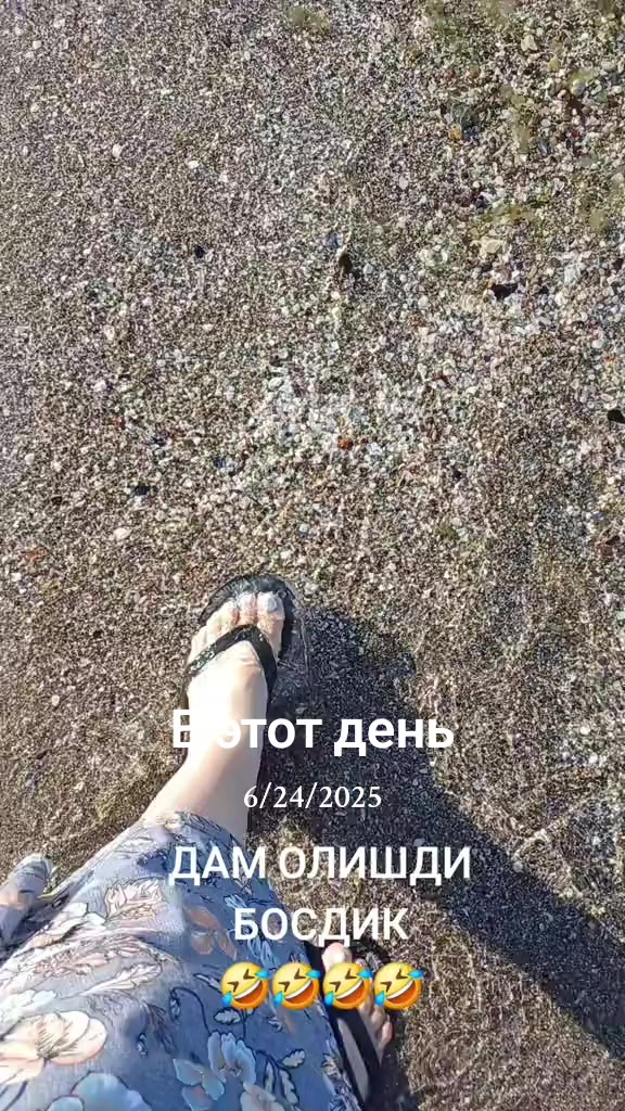 @shoira2281