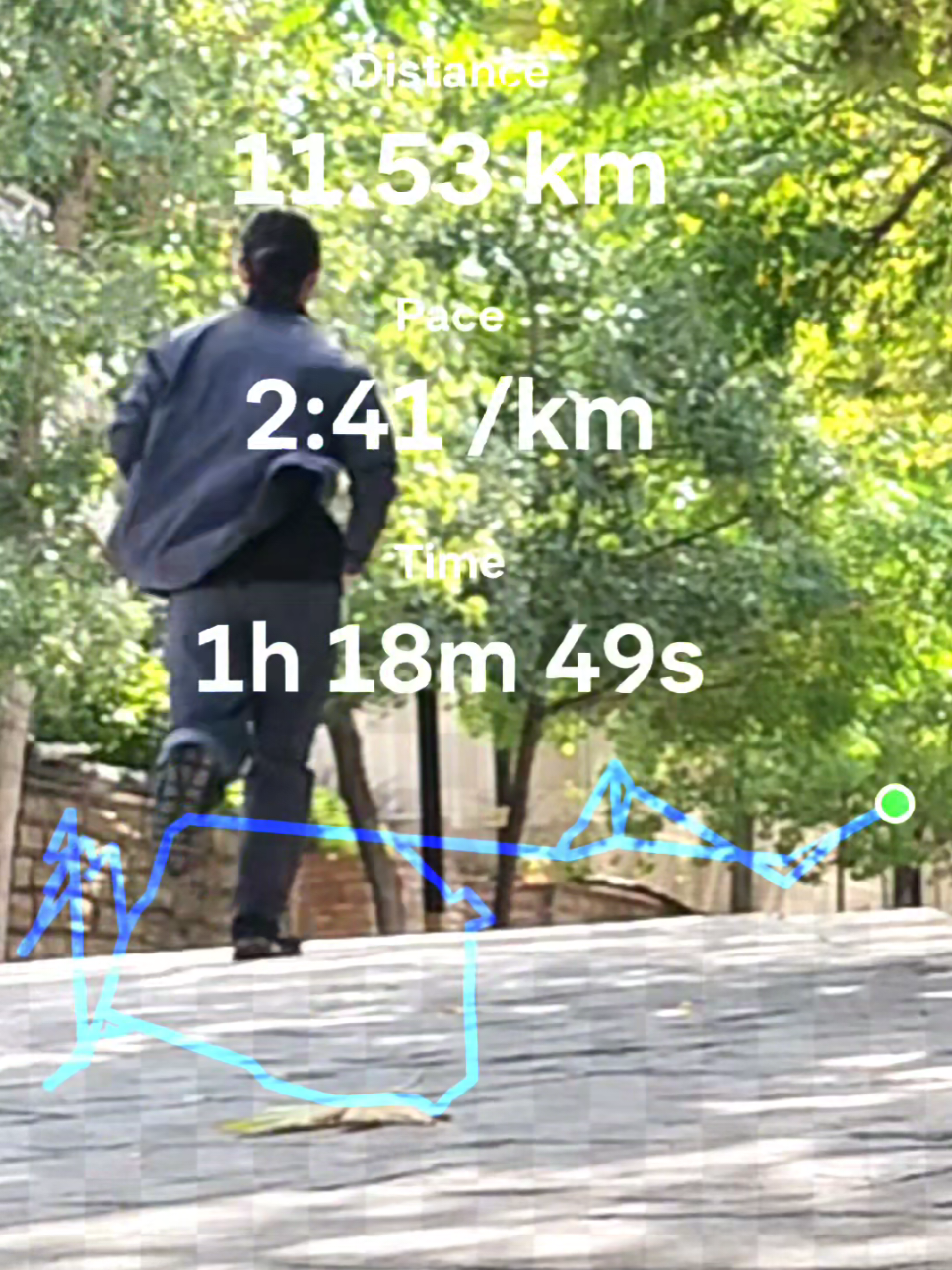 @Alireza Jafari