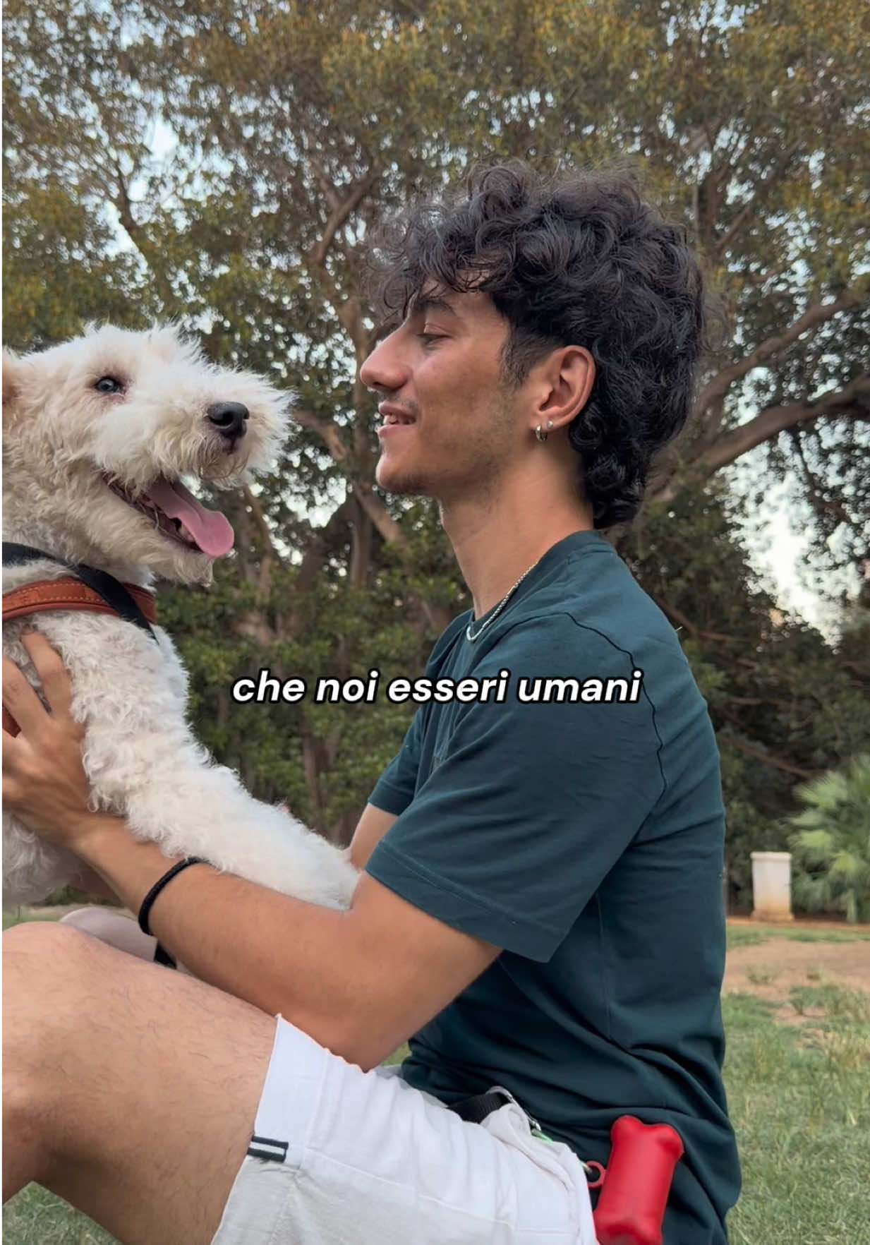 @samueletomasino