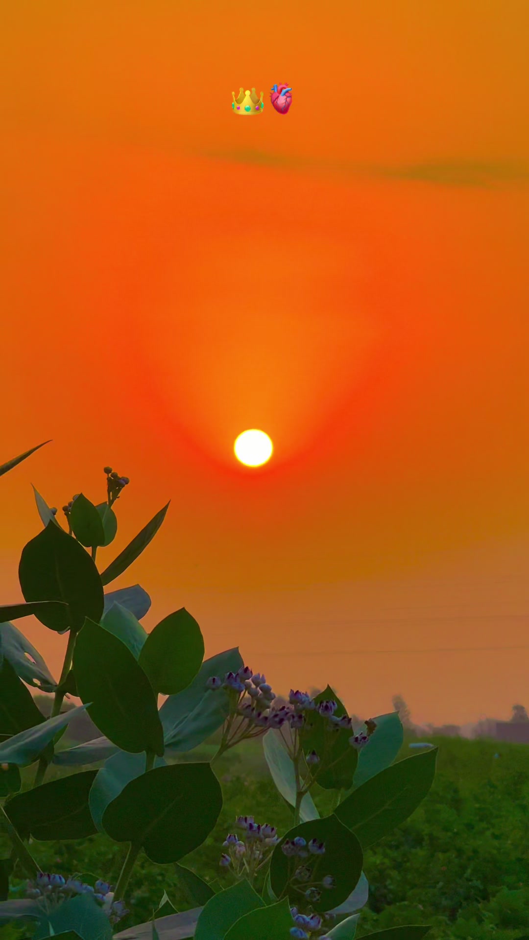 @پنجابی کلچر 🌾🍂