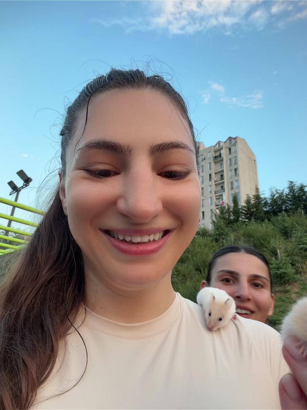 @Liana Jojua