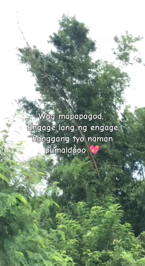 @rhys