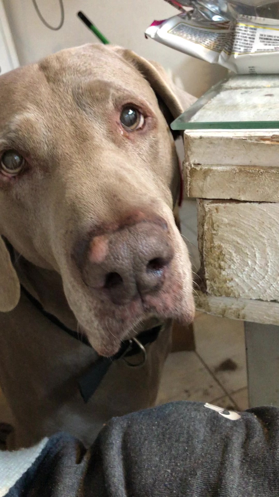 @Chinita