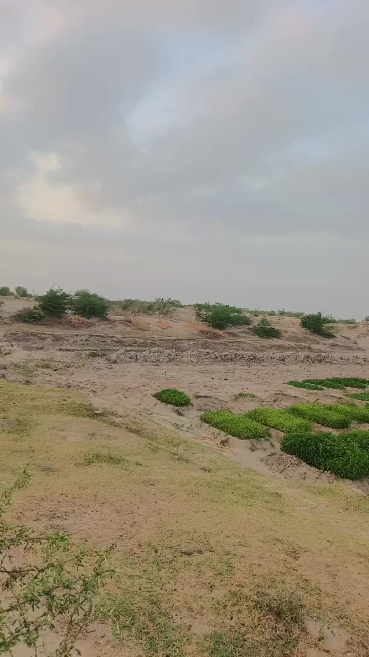 @Sandesh Bheel