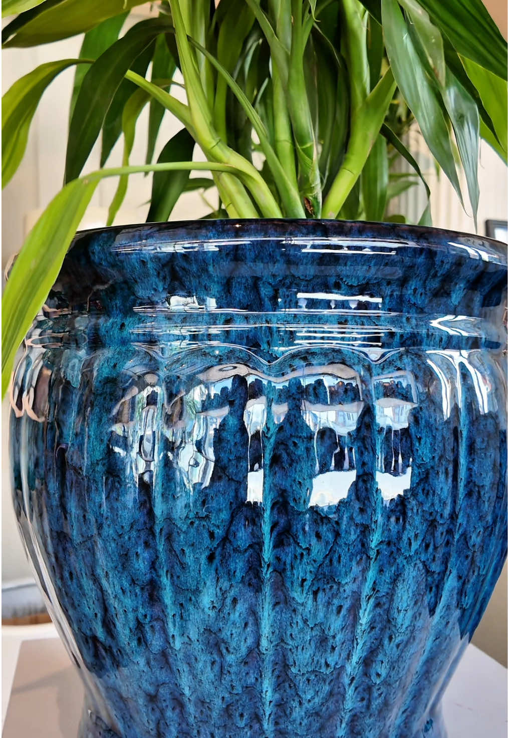 @Mimachha Pottery