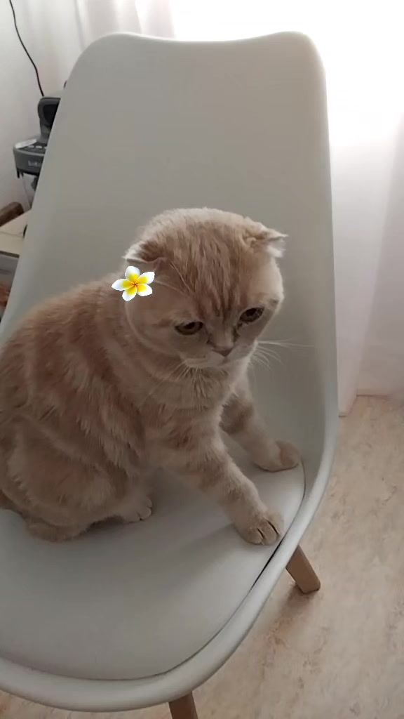@Tatiana❤️Lily