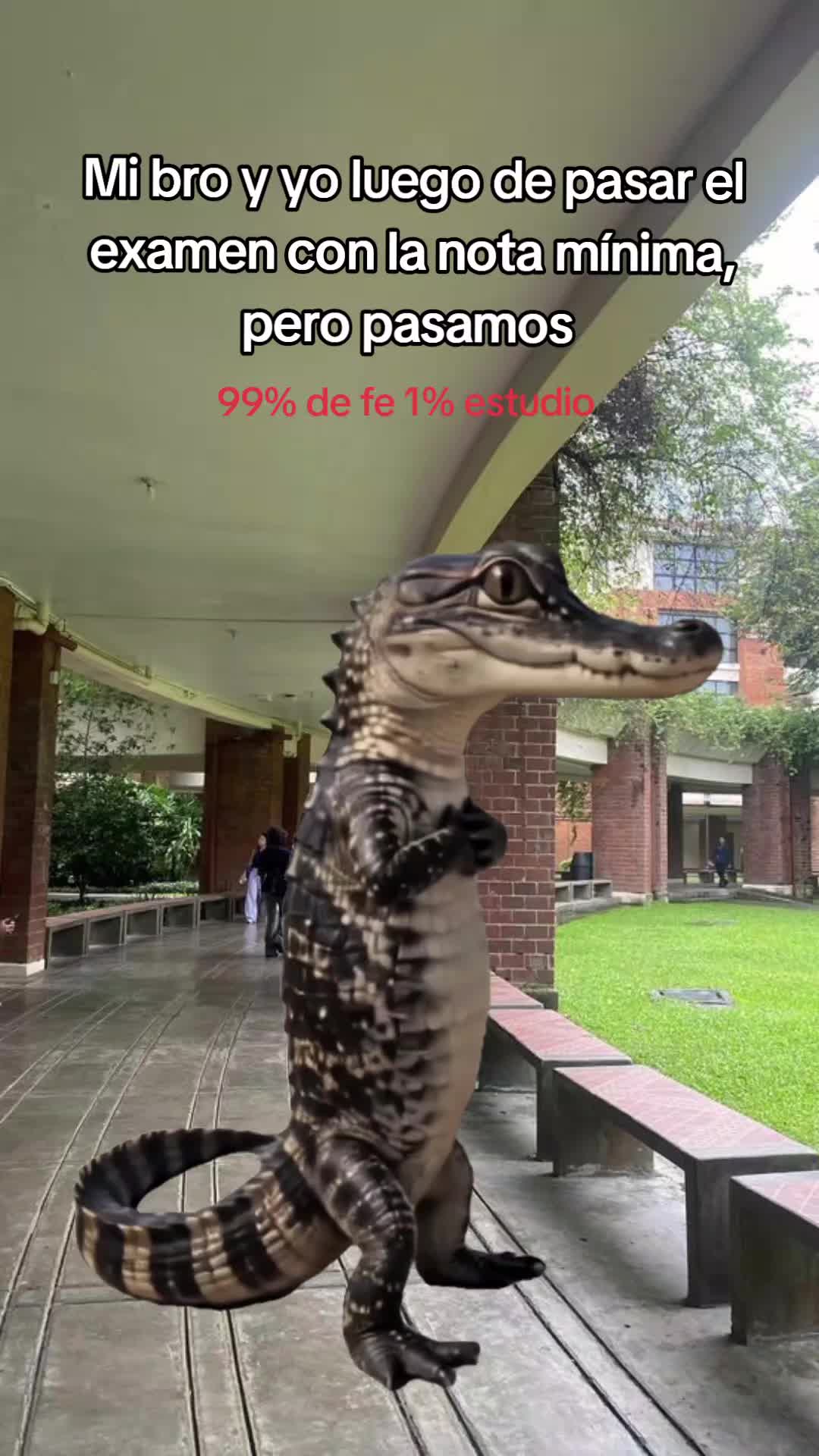 @Jeremyy João❤️