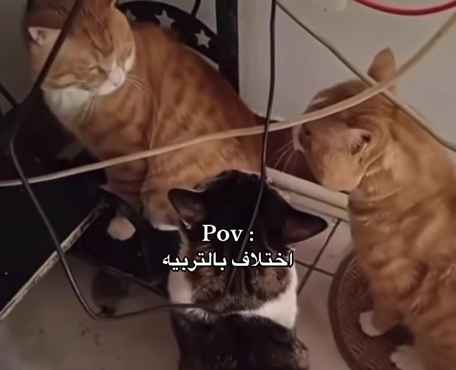 @الحىىىاب للبىيع، 🤍